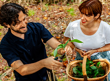 Sustainable Distillery Tour in the Mountains of the Tango Peninsula