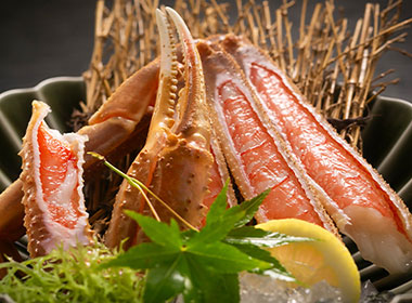 Terroir Dinner on the Tango Peninsula