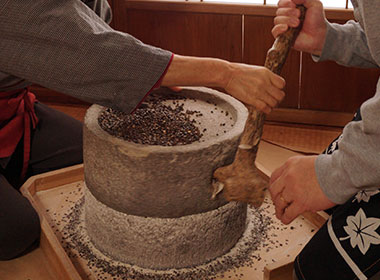 Local Farm Tour on the Tango Peninsula